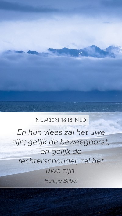 Numberi 18:18 NLD Bible Verse Image