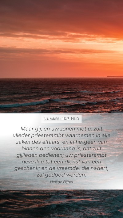 Numberi 18:7 NLD Bible Verse Image