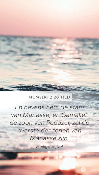 Numberi 2:20 NLD Bible Verse Image