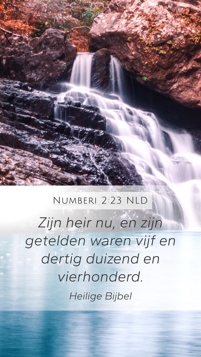 Numberi 2:23 NLD Mobile Phone Wallpaper - Zijn heir nu, en zijn getelden waren vijf en - Mobile Bible Verse Wallpaper