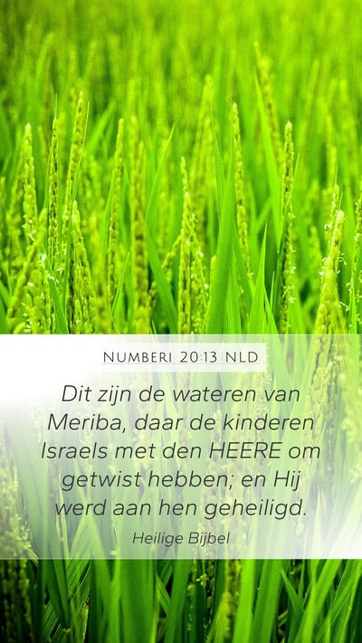 Numberi 20:13 NLD Bible Verse Image