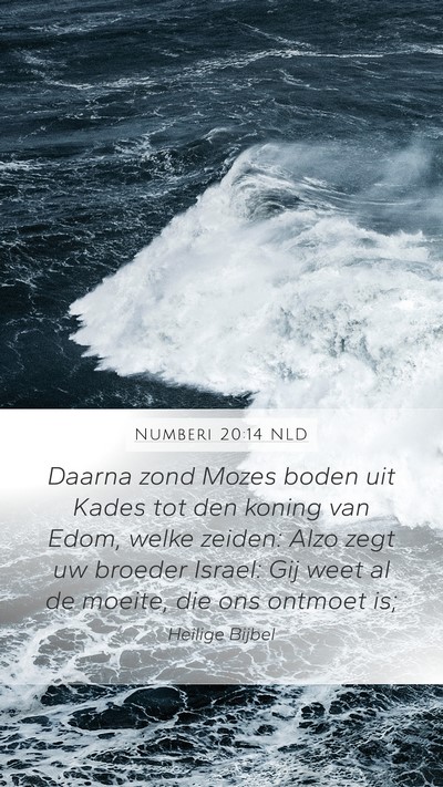 Numberi 20:14 NLD Bible Verse Image
