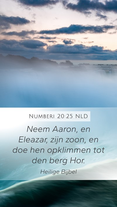 Numberi 20:25 NLD Bible Verse Image