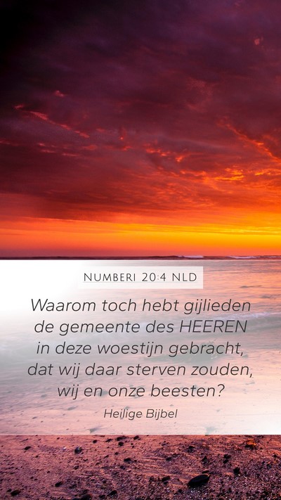 Numberi 20:4 NLD Bible Verse Image
