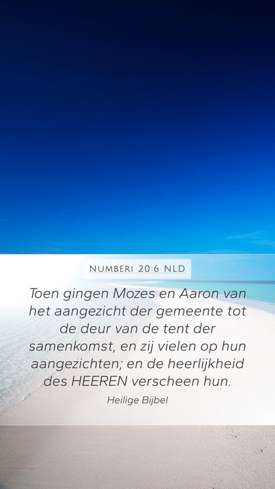 Numberi 20:6 NLD Bible Verse Image