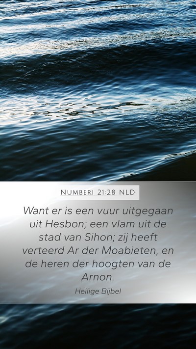 Numberi 21:28 NLD Bible Verse Image