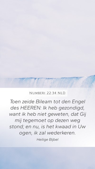 Numberi 22:34 NLD Bible Verse Image