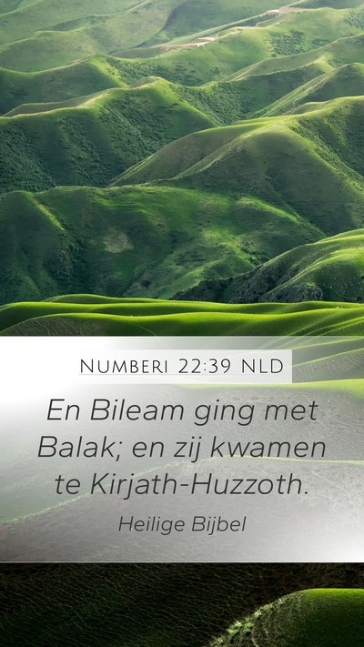 Numberi 22:39 NLD Mobile Phone Wallpaper - En Bileam ging met Balak; en zij kwamen te - Mobile Bible Verse Wallpaper
