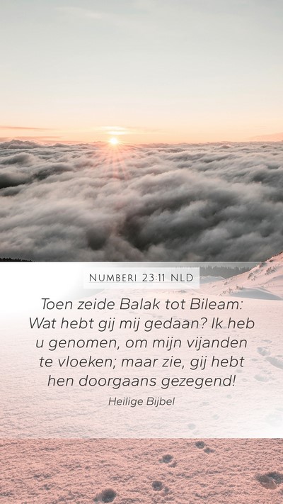 Numberi 23:11 NLD Bible Verse Image