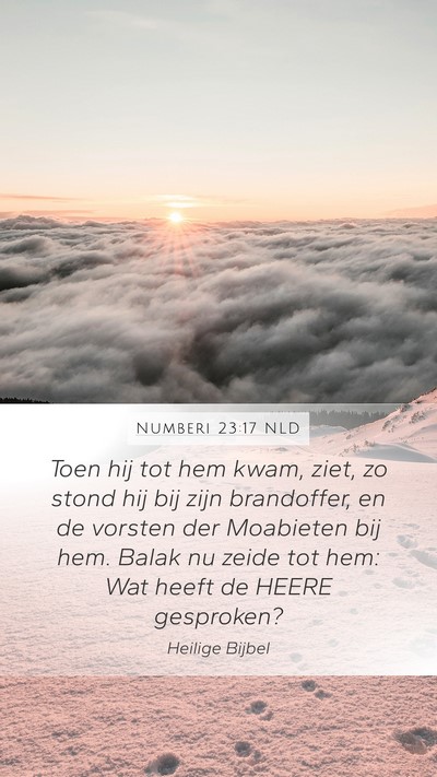 Numberi 23:17 NLD Mobile Phone Wallpaper - Toen hij tot hem kwam, ziet, zo stond hij bij - Mobile Bible Verse Wallpaper