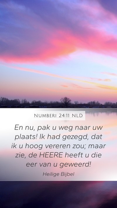 Numberi 24:11 NLD Bible Verse Image