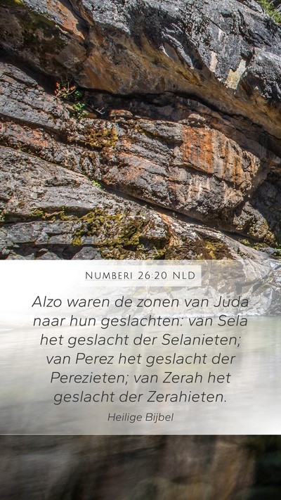 Numberi 26:20 NLD Bible Verse Image