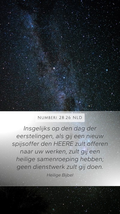 Numberi 28:26 NLD Bible Verse Image