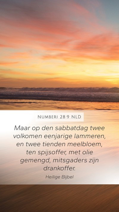 Numberi 28:9 NLD Bible Verse Image