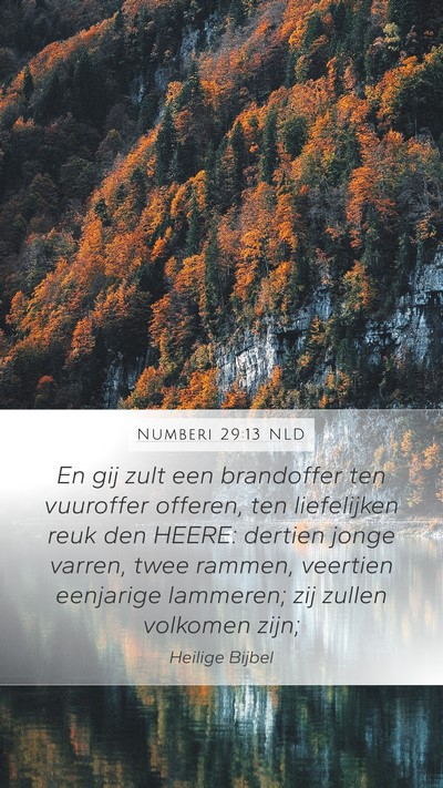 Numberi 29:13 NLD Bible Verse Image