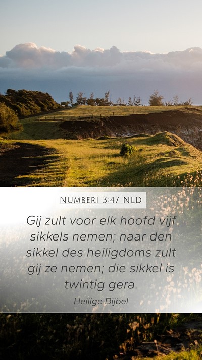 Numberi 3:47 NLD Mobile Phone Wallpaper - Gij zult voor elk hoofd vijf sikkels nemen; naar - Mobile Bible Verse Wallpaper