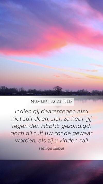 Numberi 32:23 NLD Bible Verse Image