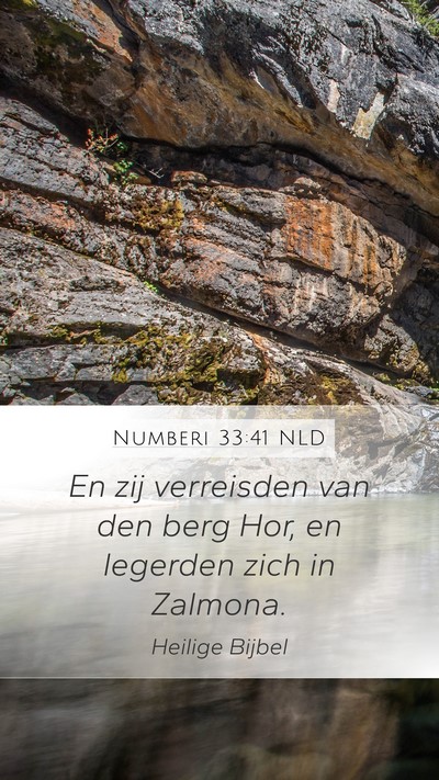 Numberi 33:41 NLD Bible Verse Image