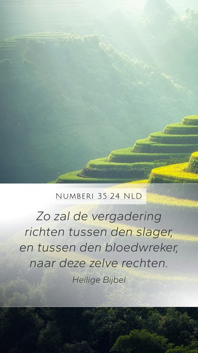 Numberi 35:24 NLD Bible Verse Image