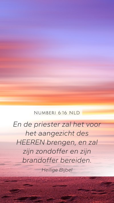 Numberi 6:16 NLD Bible Verse Image