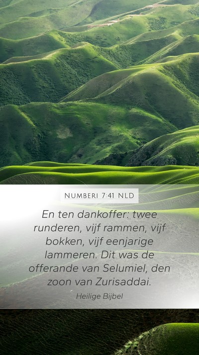 Numberi 7:41 NLD Bible Verse Image