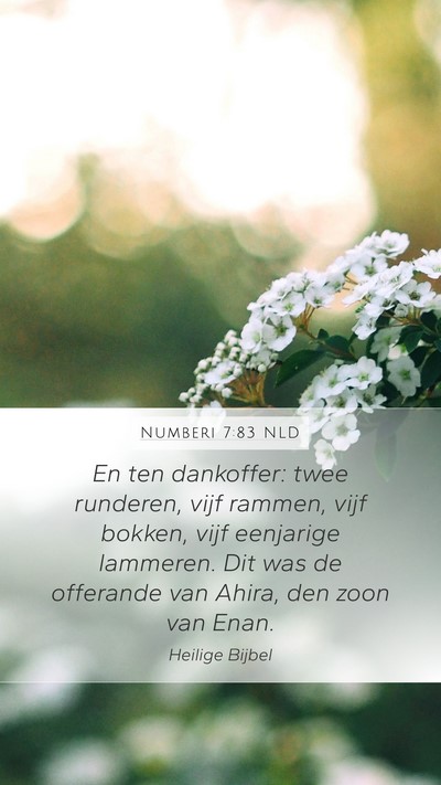 Numberi 7:83 NLD Mobile Phone Wallpaper - En ten dankoffer: twee runderen, vijf rammen, - Mobile Bible Verse Wallpaper