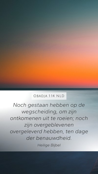 Obadja 1:14 NLD Bible Verse Image