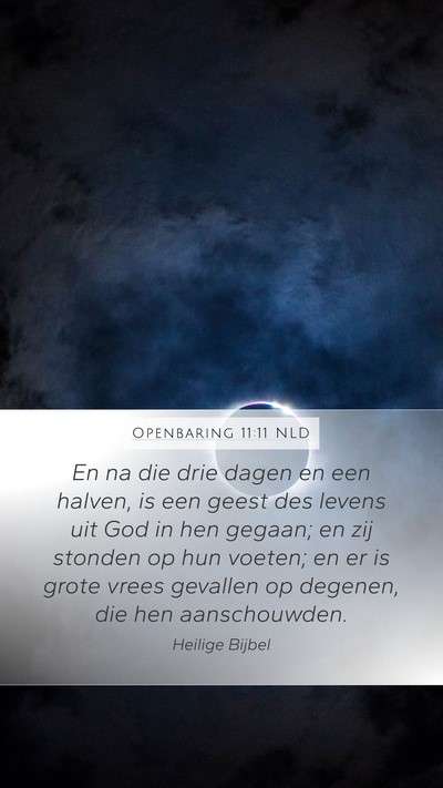 Openbaring 11:11 NLD Bible Verse Image