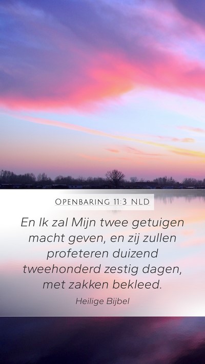 Openbaring 11:3 NLD Bible Verse Image