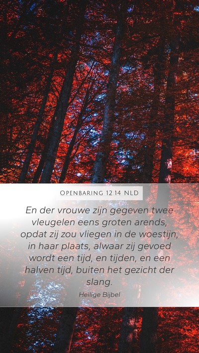 Openbaring 12:14 NLD Bible Verse Image
