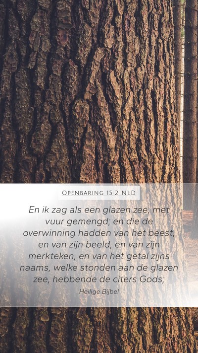 Openbaring 15:2 NLD Bible Verse Image