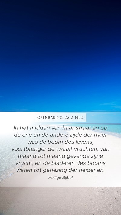 Openbaring 22:2 NLD Bible Verse Image