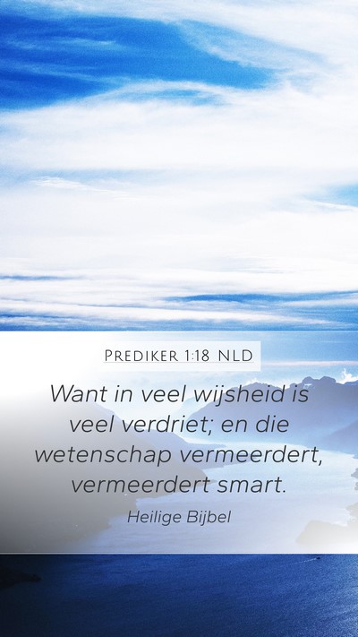 Prediker 1:18 NLD Bible Verse Image