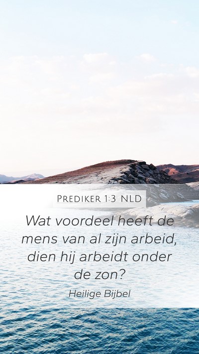 Prediker 1:3 NLD Bible Verse Image