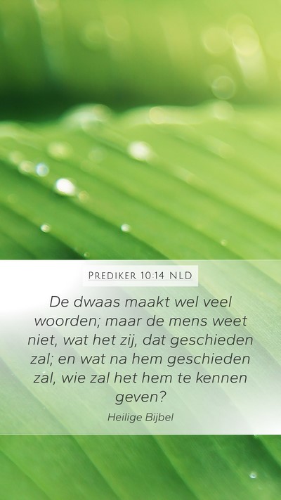 Prediker 10:14 NLD Bible Verse Image