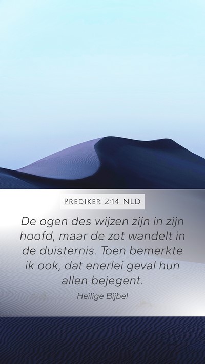 Prediker 2:14 NLD Mobile Phone Wallpaper - De ogen des wijzen zijn in zijn hoofd, maar de - Mobile Bible Verse Wallpaper