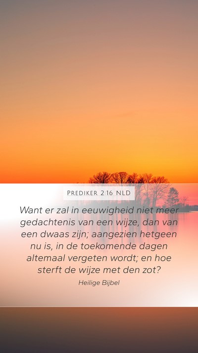 Prediker 2:16 NLD Bible Verse Image
