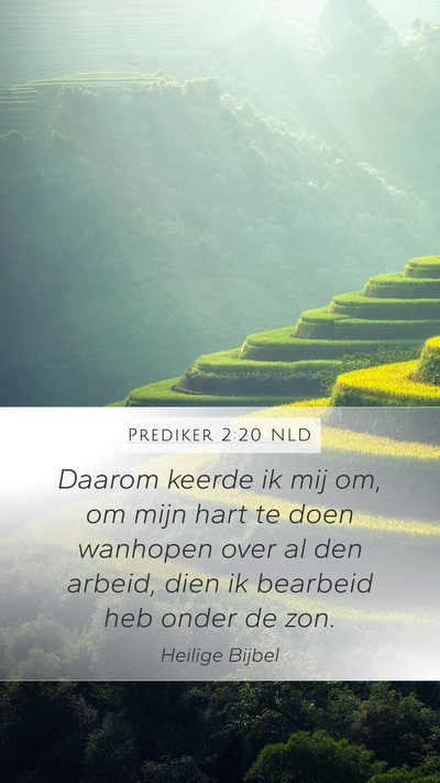 Prediker 2:20 NLD Bible Verse Image