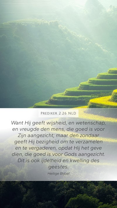 Prediker 2:26 NLD Bible Verse Image