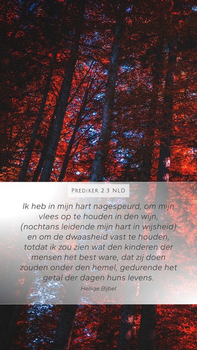 Prediker 2:3 NLD Bible Verse Image