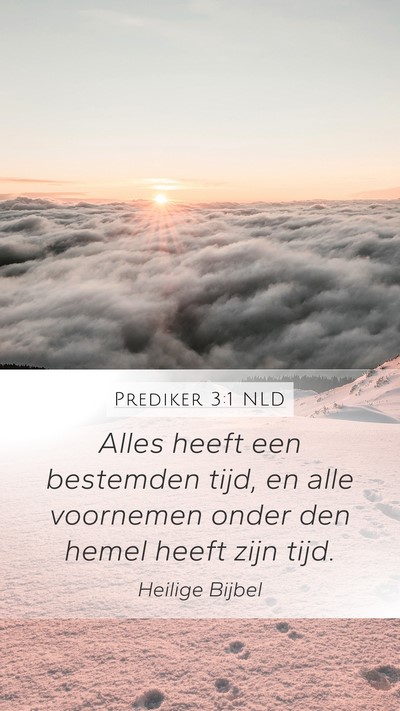 Prediker 3:1 NLD Mobile Phone Wallpaper - Alles heeft een bestemden tijd, en alle voornemen - Mobile Bible Verse Wallpaper