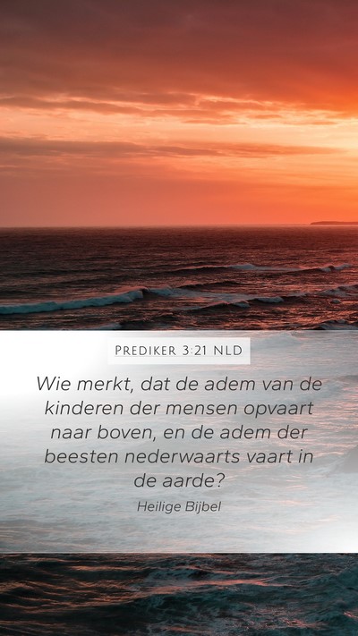 Prediker 3:21 NLD Bible Verse Image