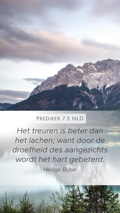 Prediker 7:3 NLD Bible Verse Image