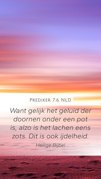 Prediker 7:6 NLD Bible Verse Image