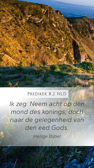 Prediker 8:2 NLD Mobile Phone Wallpaper - Ik zeg: Neem acht op den mond des konings; doch - Mobile Bible Verse Wallpaper