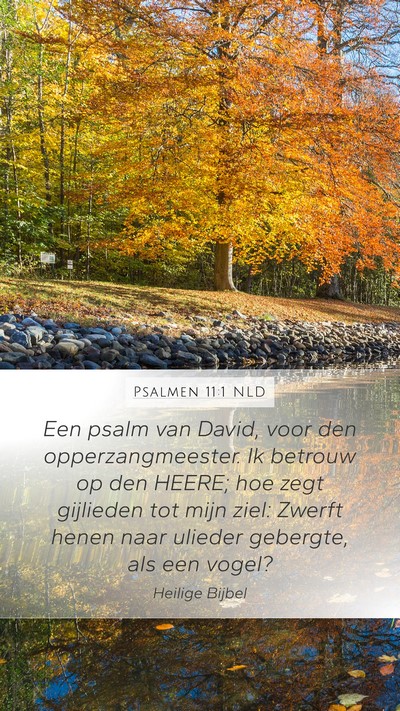 Psalmen 11:1 NLD Mobile Phone Wallpaper - Een psalm van David, voor den opperzangmeester. - Mobile Bible Verse Wallpaper