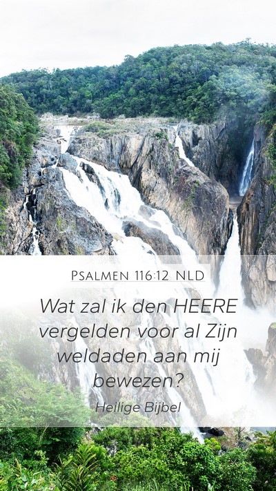 Psalmen 116:12 NLD Bible Verse Image