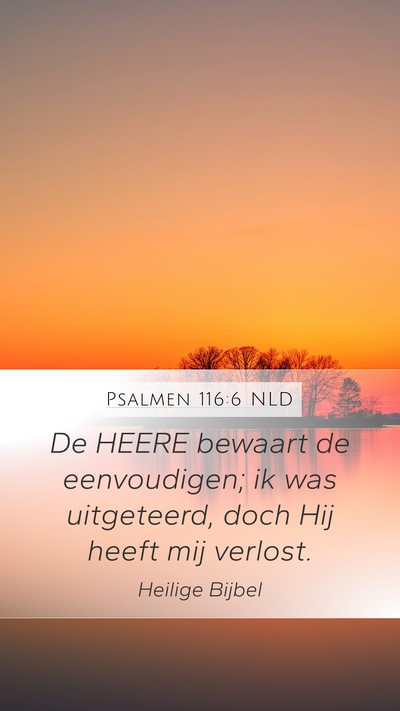 Psalmen 116:6 NLD Bible Verse Image