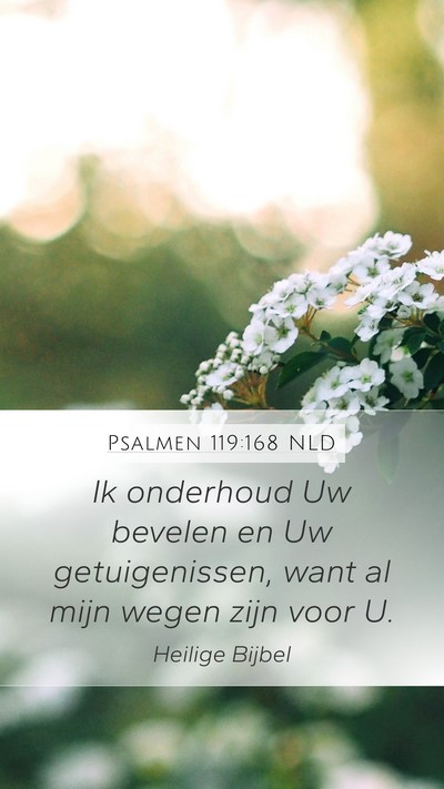 Psalmen 119:168 NLD Mobile Phone Wallpaper - Ik onderhoud Uw bevelen en Uw getuigenissen, want - Mobile Bible Verse Wallpaper