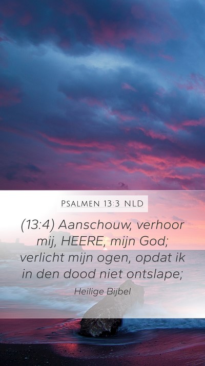 Psalmen 13:3 NLD Bible Verse Image